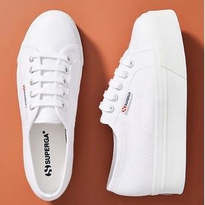 superga avocado